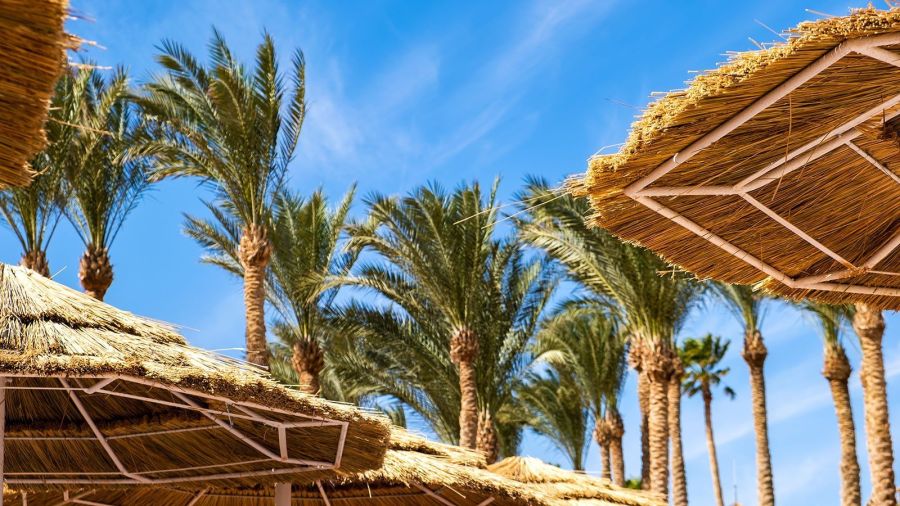 Orlando Timeshare Promotions